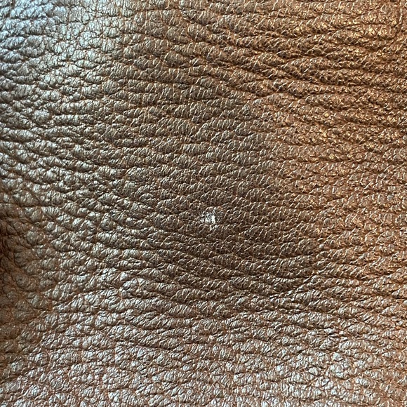 Prada Vitello Cervo side zip tote. EUC - Picture 12 of 14